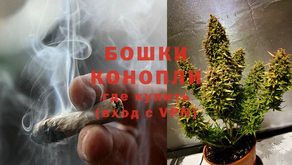 дурь Магас