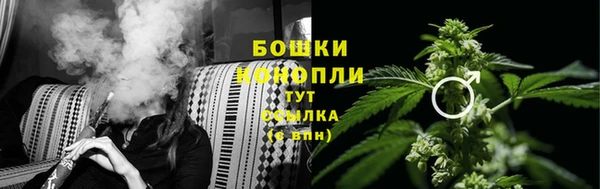 дурь Магас