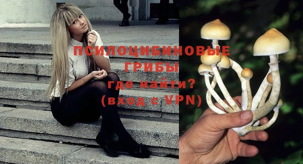 apvp Магадан