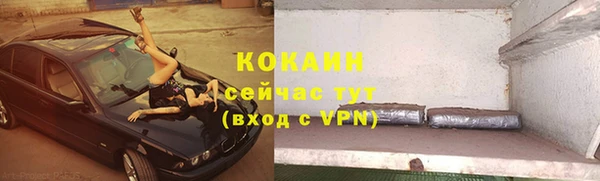 дурь Магас