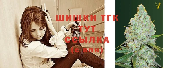 Альфа ПВП Лагань