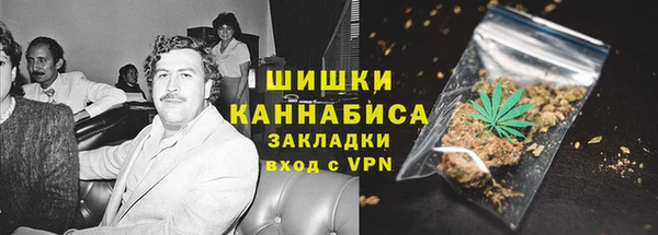 дурь Магас