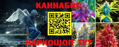 дживик Гатчина