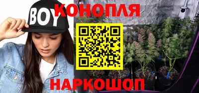 сатива Абинск