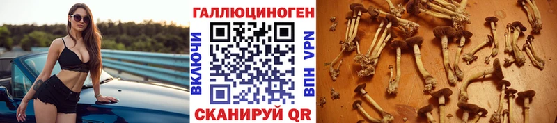 мориарти телеграм  Самара  Галлюциногенные грибы мухоморы  как найти  