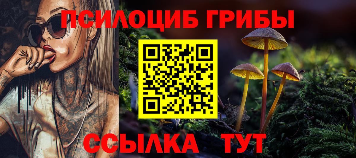 Галлюциногенные грибы Psilocybine cubensis  Вход с VPN  Россия  Псилоцибиновые грибы GOLDEN TEACHER 